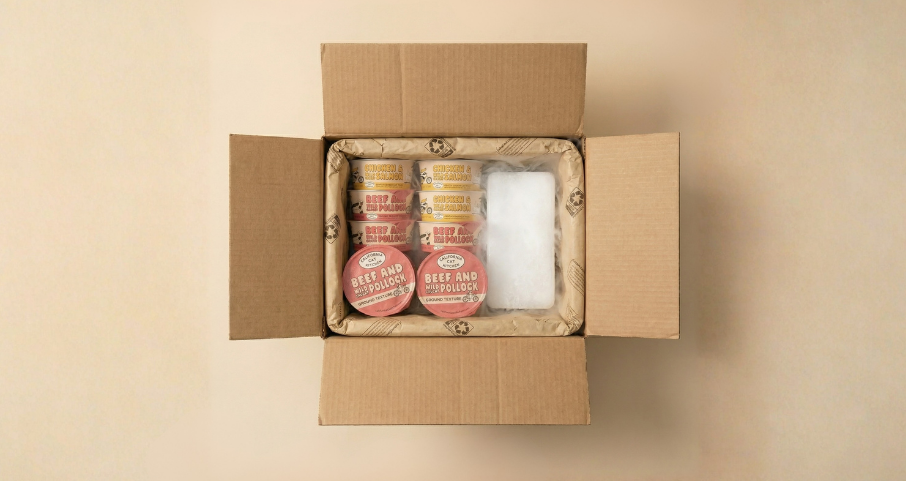 Open cardboard box with frozen cat food and dry ice ready for shipping shown on a beige background