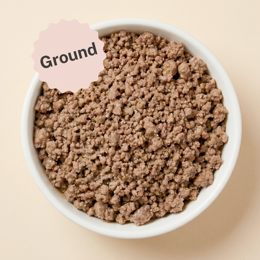 Bowl of ground wet cat food, brown crumbles texture