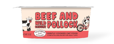 Cat food container with 'Beef and Wild Pollock' text on a transparent background